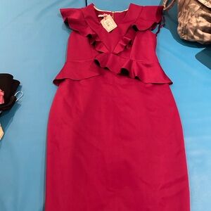 Ted baker ruffle dress